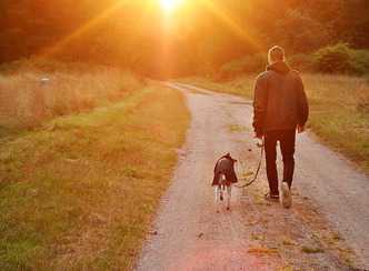 Wandelen met de hond met de zon op de achtergrond