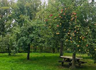 2021 Pluktuin appels