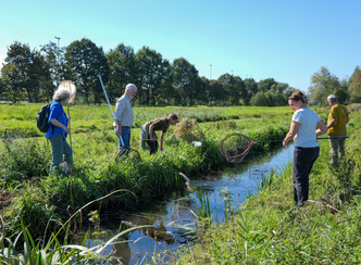 Onderzoek naar waterleven in de Middelpolder