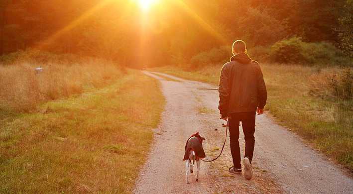 Wandelen met de hond met de zon op de achtergrond
