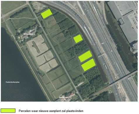 Nieuwe bomenaanplant