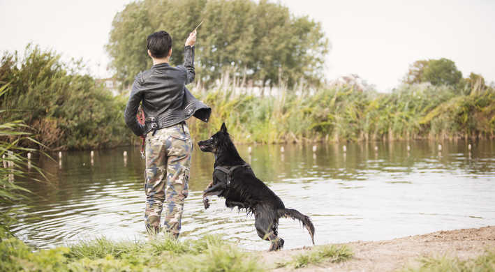 Wandelen met de hond