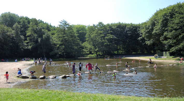 Zwemmen De Hoge Dijk