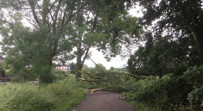 stormschade juni 2019