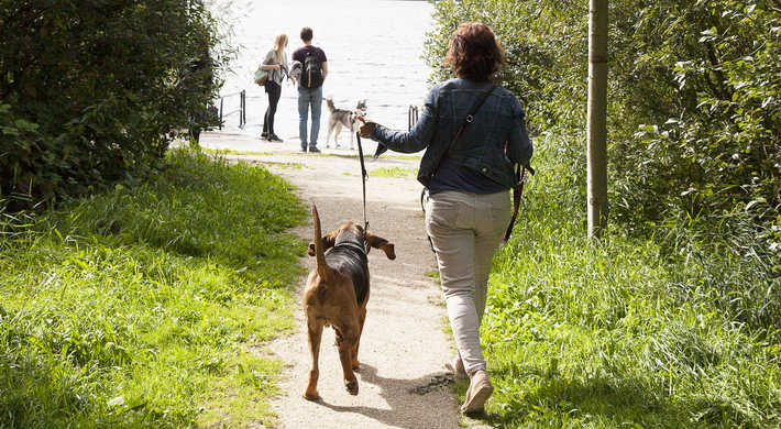 2019 hondenstrandjes weer open