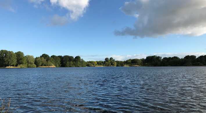 Gaasperplas met gele boei