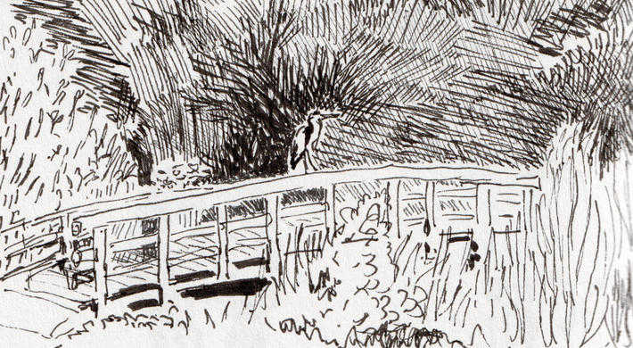 Natuur en tekenwandeling Diemerbos - Illustratie Marissa Stoffers