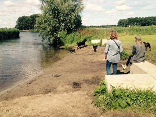 2021 Hondeneiland OKP