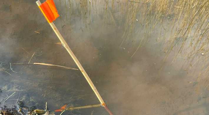 2022 Muskusrat bestrijding vlaggetjes