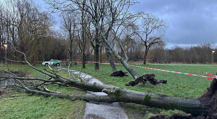 2024 Gaasperplas omgevallen bomen storm Henk