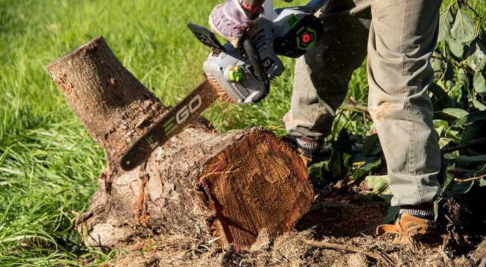 2024 Omzagen boom met kettingzaag