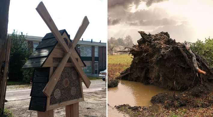 Insectenhotel en broedplaats ijsvogels