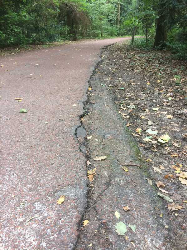 2018 Gaasperplas werkzaamheden paden // werkzaamheden_paden_gaasperplas.jpg (89 K)