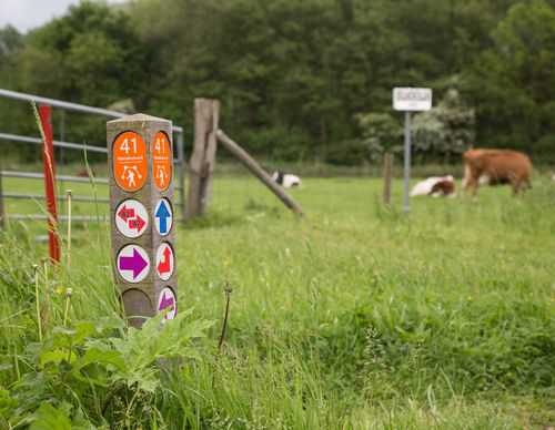 2020&nbsp;Start&nbsp;aanleg&nbsp;Wandelnetwerk&nbsp;Amstelland&nbsp;//&nbsp;001903_routewijzer_paaltje_1.jpg&nbsp;(23&nbsp;K)