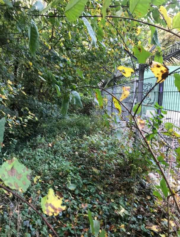 2020 Snoeien groen bij hek buitenkant // metro_station_gaasperplas_4.jpg (97 K)