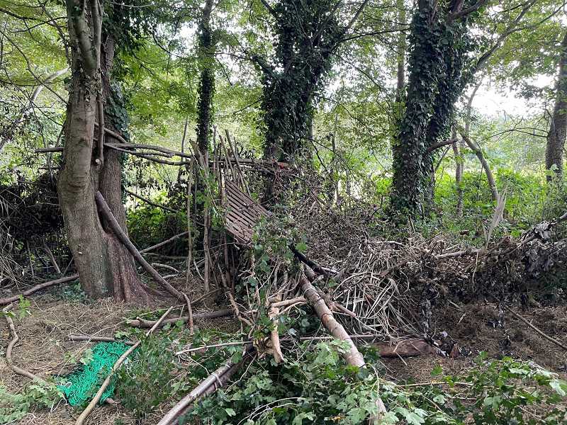 2021 Boomhut verwijderen 4 // boshut_verwijderen_8_-_klein.jpg (143 K)