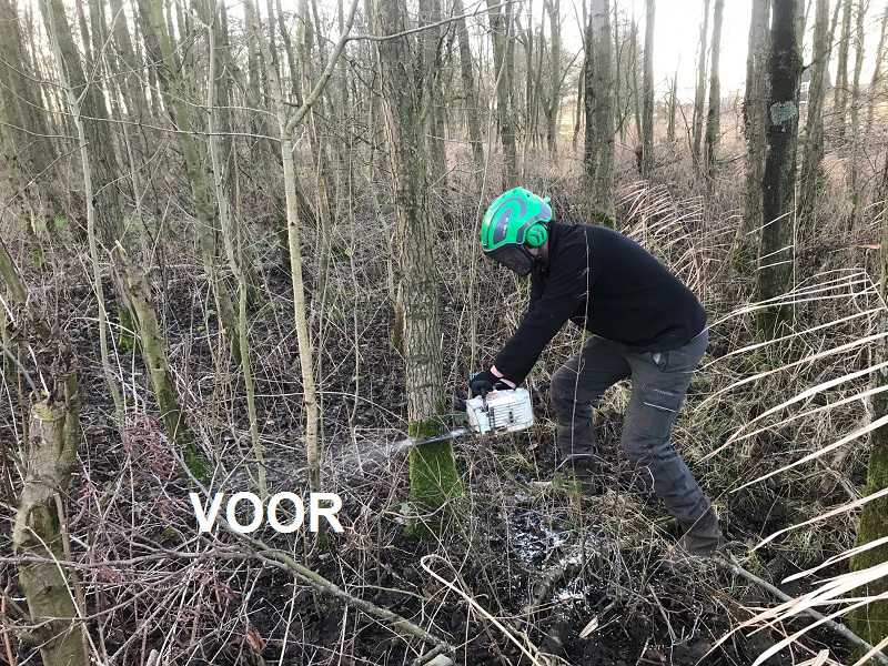 2022 Snoeiwerk in PEN-bos // snoeien_diemen_9_-_klein.jpg (127 K)