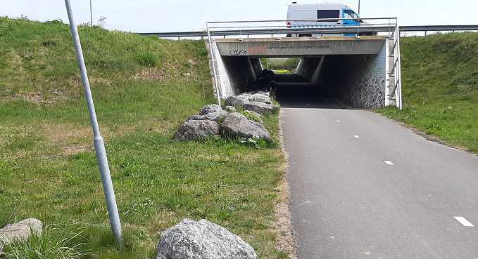 2022 Dierenpassage Diemerbos Gemeenschapspolder // dierenpassage_viaduct_richting_gemeenschapspolder_-_klein.jpg (43 K)