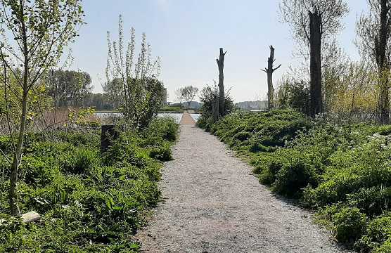 2022 Eiland Ouderkerkerplas biodiversiteit // eiland_in_plas_-_biodiversiteit_-_klein.jpg (52 K)