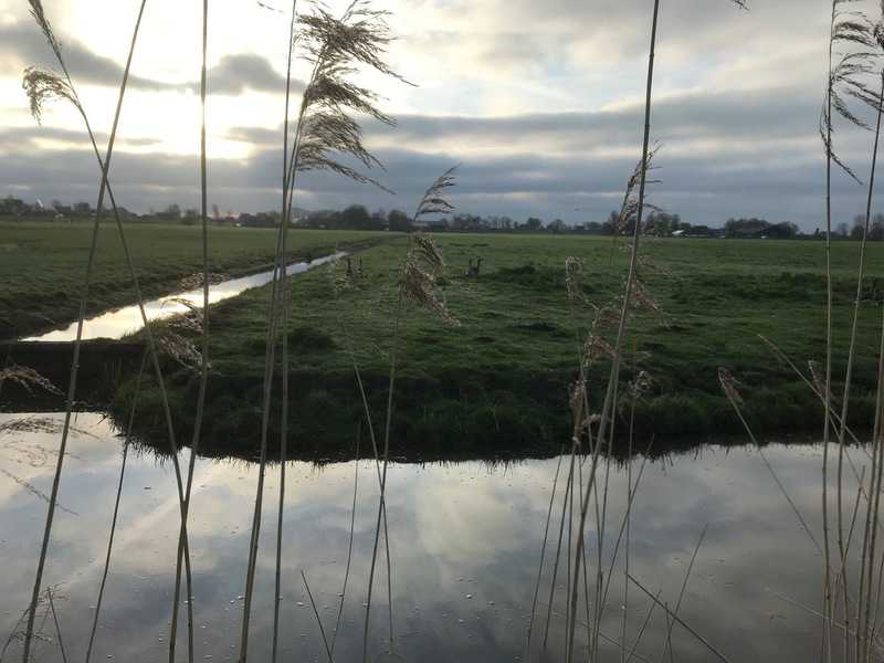 2022&nbsp;-&nbsp;Bovenkerkerpolder&nbsp;//&nbsp;bovenkerkerpolder_close.jpg&nbsp;(41&nbsp;K)