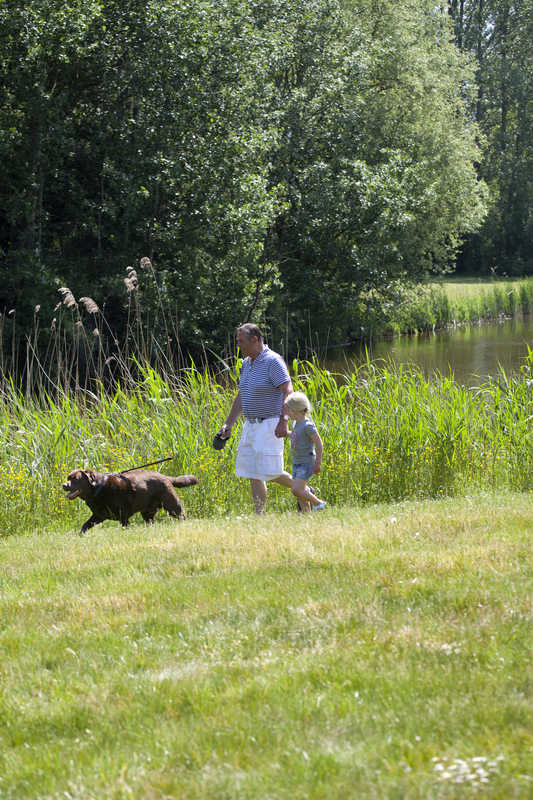 Hond uitlaten Ouderkerkerplas // tweede_deel_ouderkerkerplas_wandelen_met_de_hond.jpg (93 K)