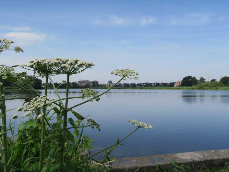 2023&nbsp;-&nbsp;De&nbsp;Diem&nbsp;//&nbsp;de_diem.jpg&nbsp;(36&nbsp;K)