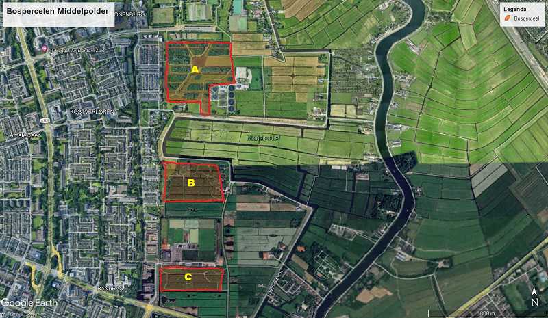 2024 Middelpolder plattegrond bosrevitalisering overzicht // middelpolder_overzicht_aanplant_bomen_-_klein.jpg (71 K)