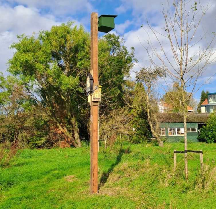 2024 nestkast voor torenvalk Boomgaard-aan-de-Amstel // nestkast_torenvalk.jpg (89 K)