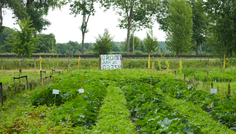 2025-groengebied-amstelland-groen-aan-de-gaasp-02 // groengebied-amstelland-groen-aan-de-gaasp-02-1540x880.png (1,046 K)